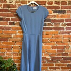 Blue Babaton (Aritzia) Dress